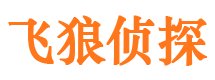 郏县外遇调查取证